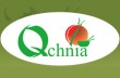 Qchnia+Vietnamese+Cuisine-110-72